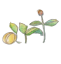 NPO法人アート教育研究所　美種　Art&Education