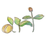 NPO法人アート教育研究所　美種　Art&Education